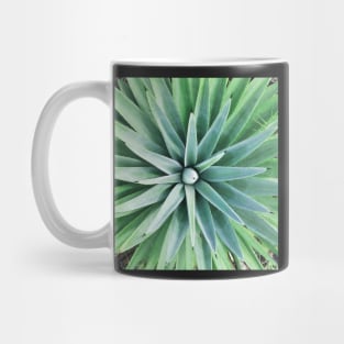 Plant print, Cactus print, Succulent, Scandinavian print, Trendy print, Styled, Pillow, Modern art, Wall art, Print, Minimalistic, Modern Mug